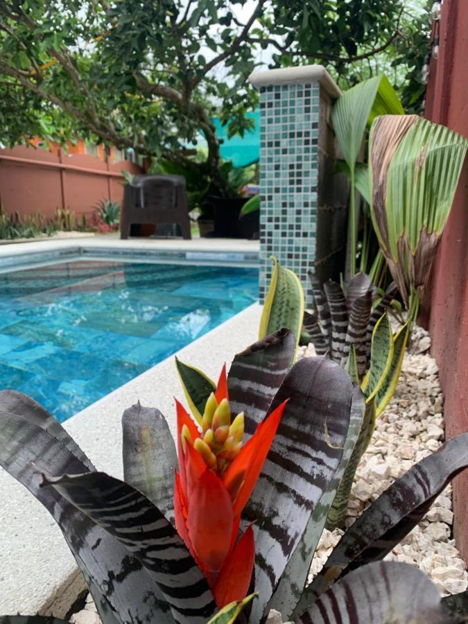 Villa Jade, La Fortuna Downtown Kültér fotó